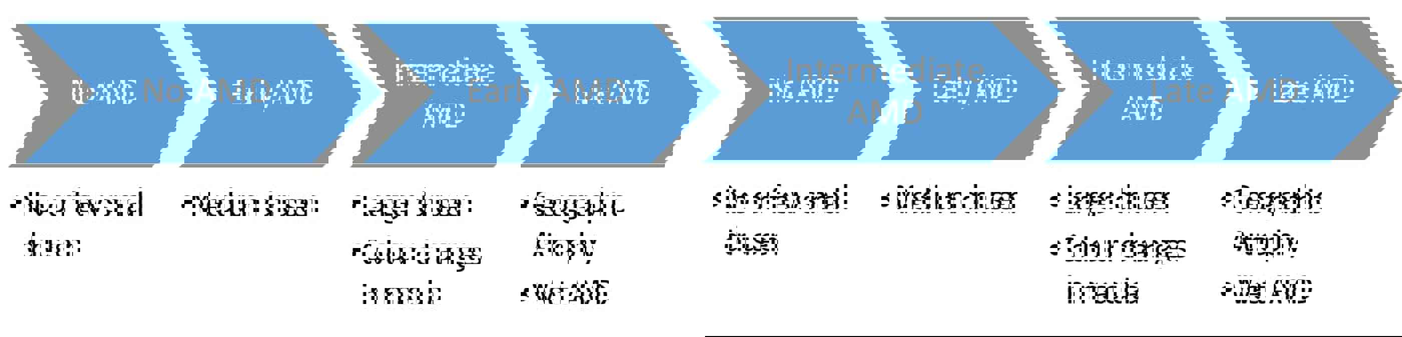 Basic Diagram For Geographic Atrophy 