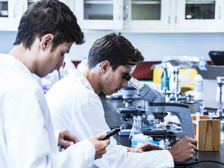 Our research projects - Macular Society