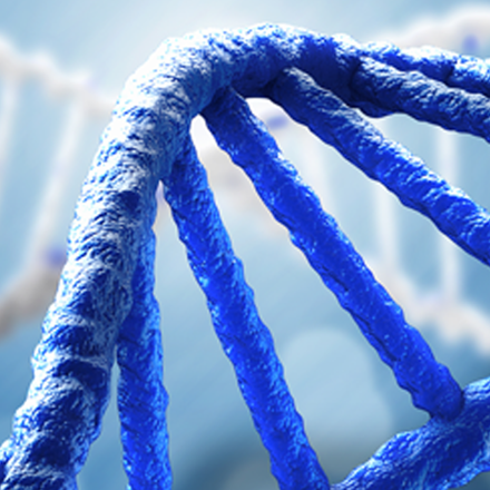 Gene double helix