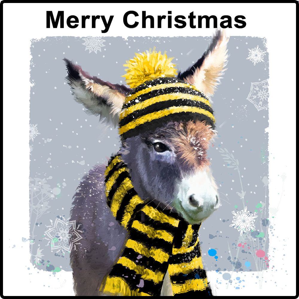 Little Donkey Pack Of 10 Macular Society little-donkey-pack-of-10-macular-society