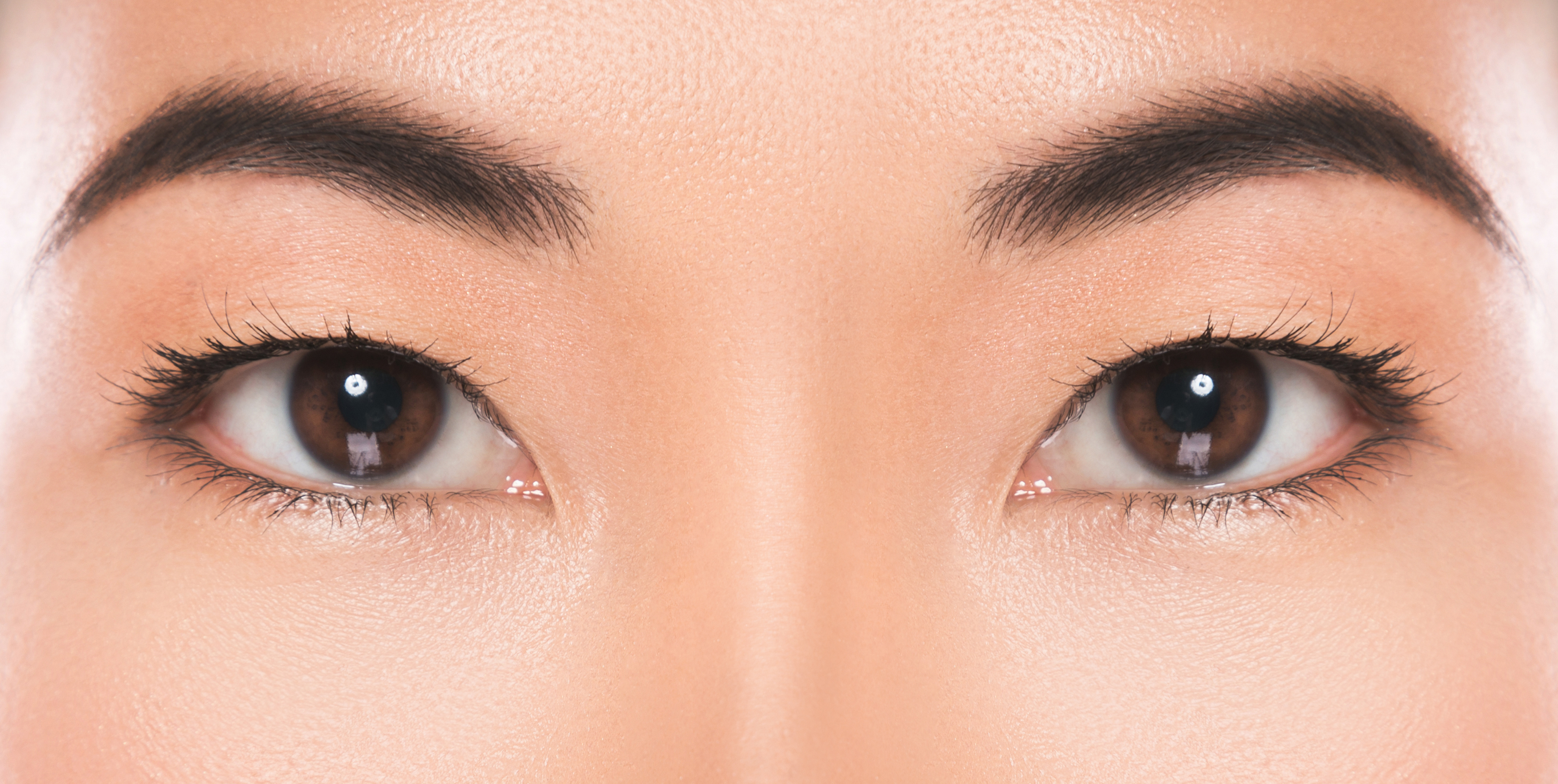 What is the macula? primary image