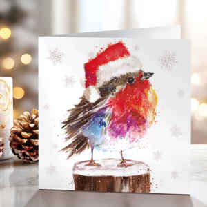 Picture of Snowy robin