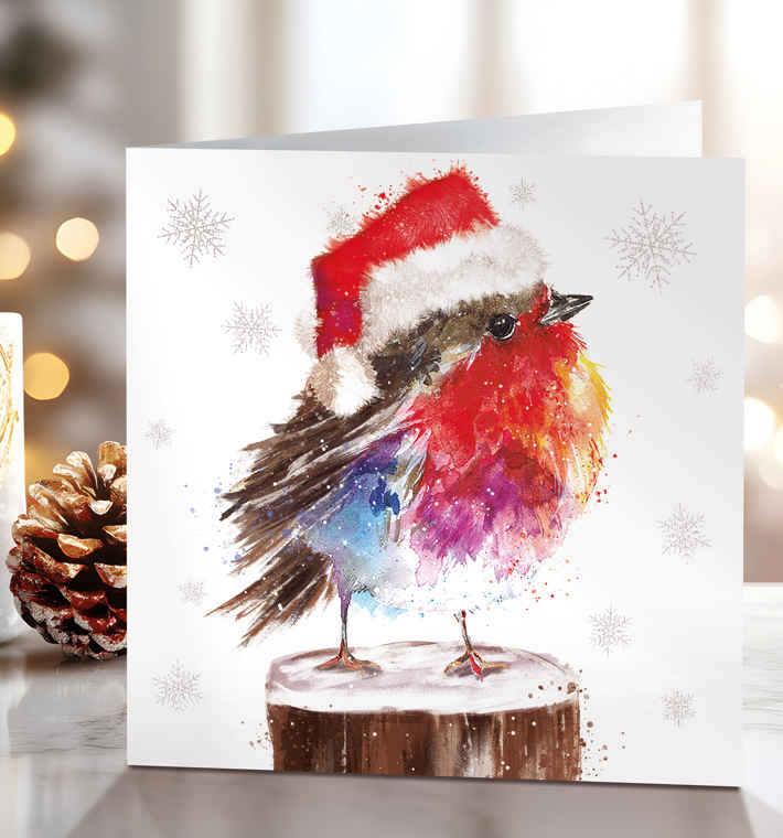 Snowy Robin2