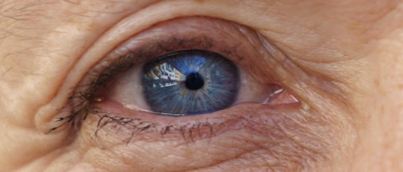 Older blue eyes close up