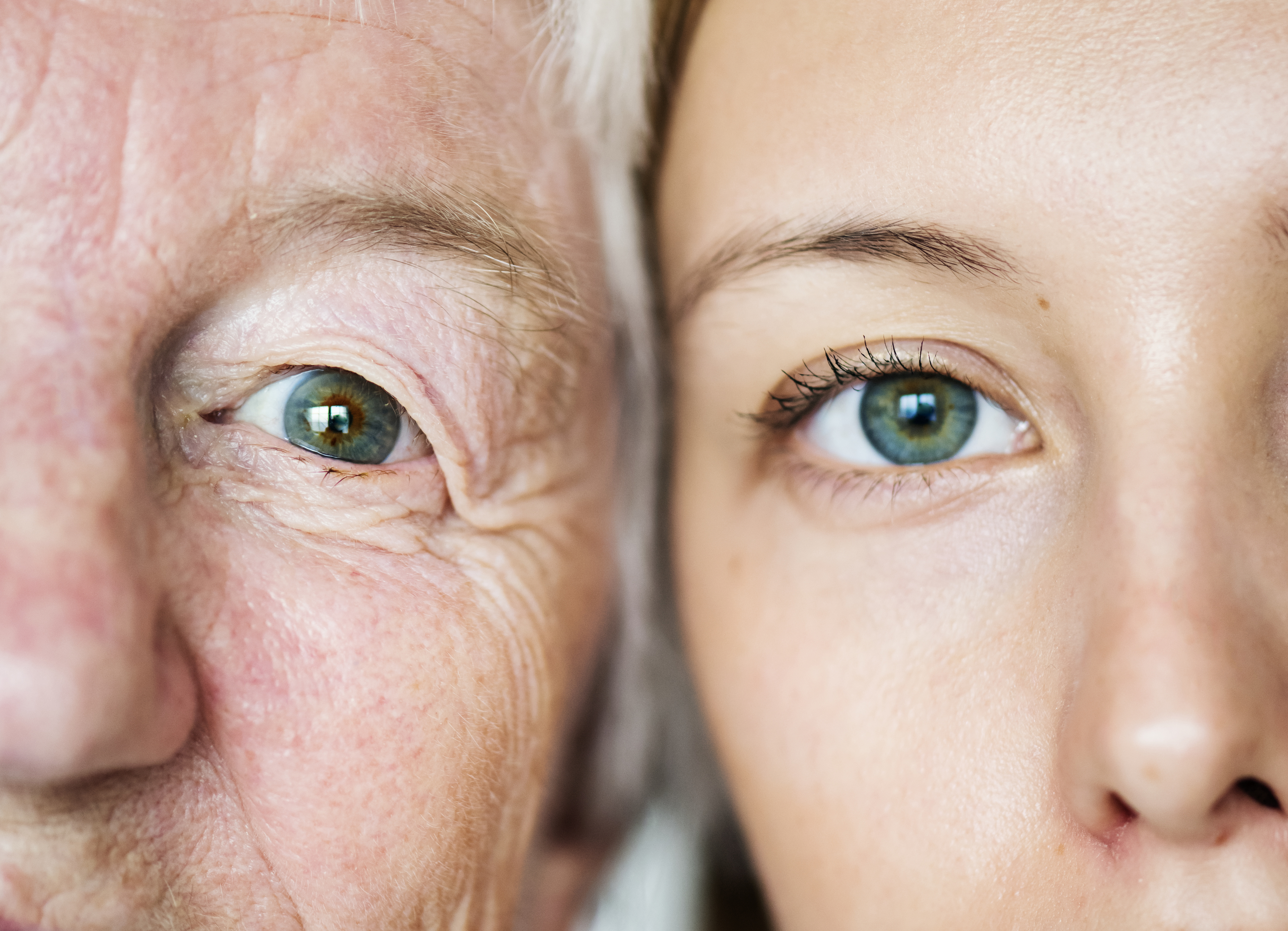 Macular conditions primary image