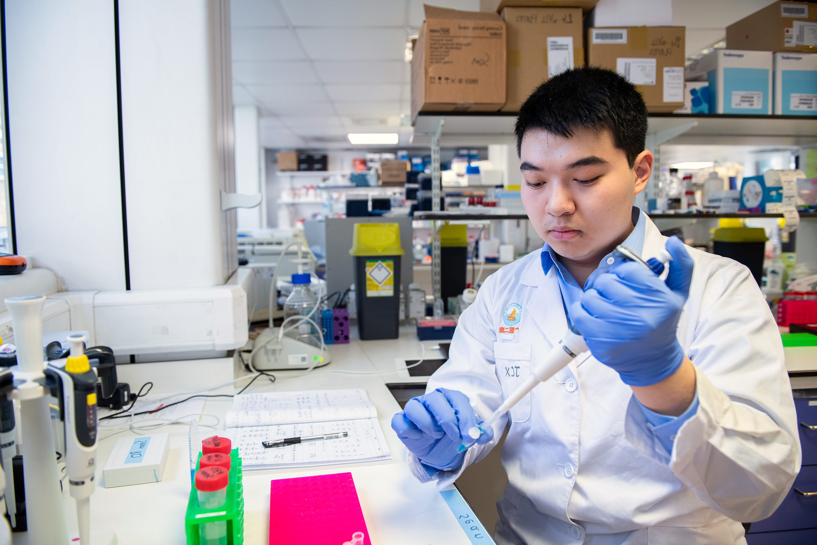 Professor Chu in the research lab working with a pipette