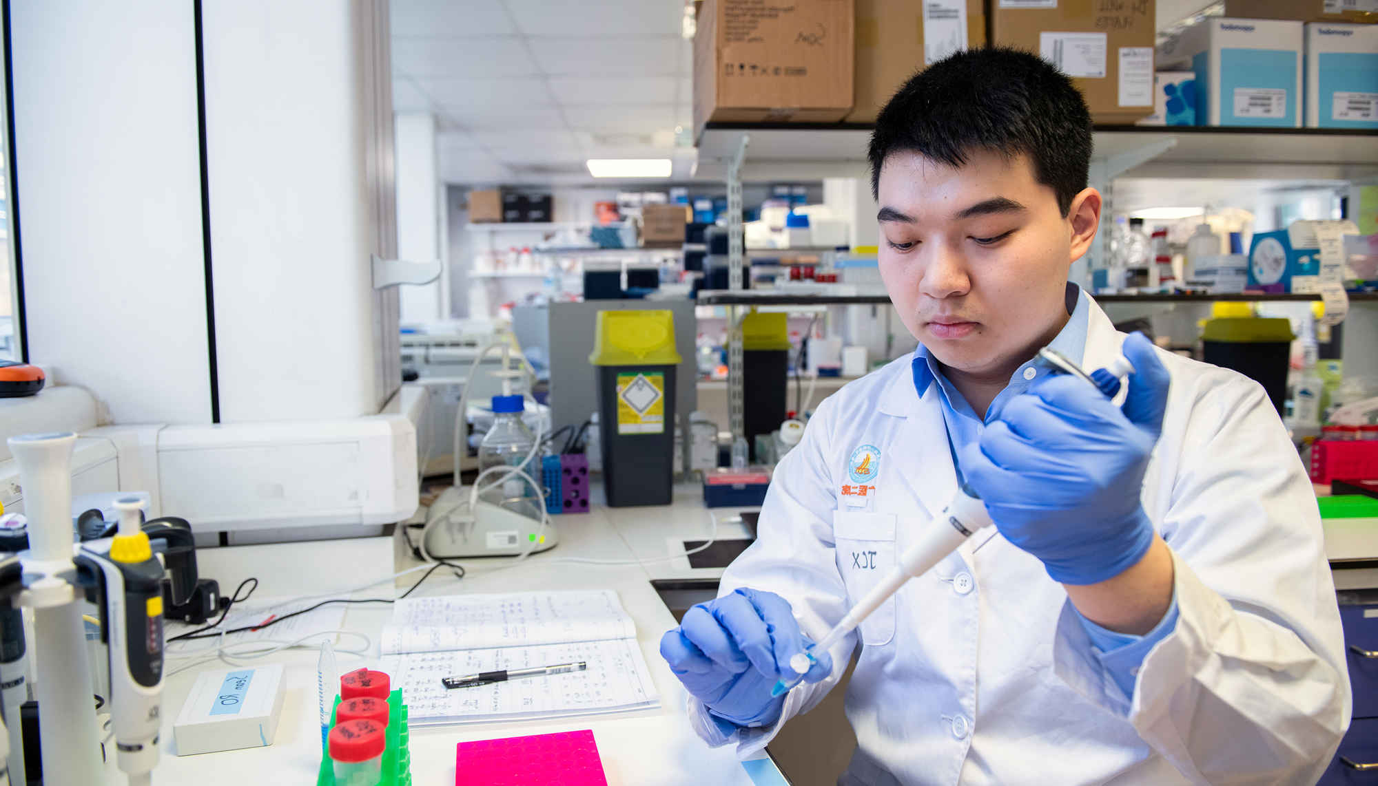 Professor Chu in the research lab working with a pipette