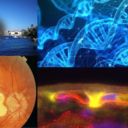 Combination of images of central vision loss, damaged macular, DNA and retinal epithelium