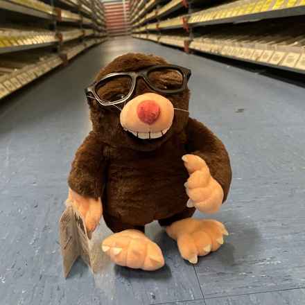 Marvin the Mole, Vision Express .jpg