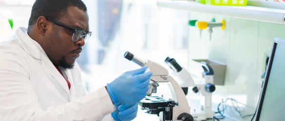 Researcher studying