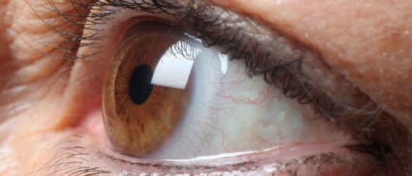 Close up brown eye looking right
