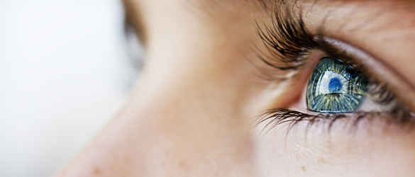 Closeup eye