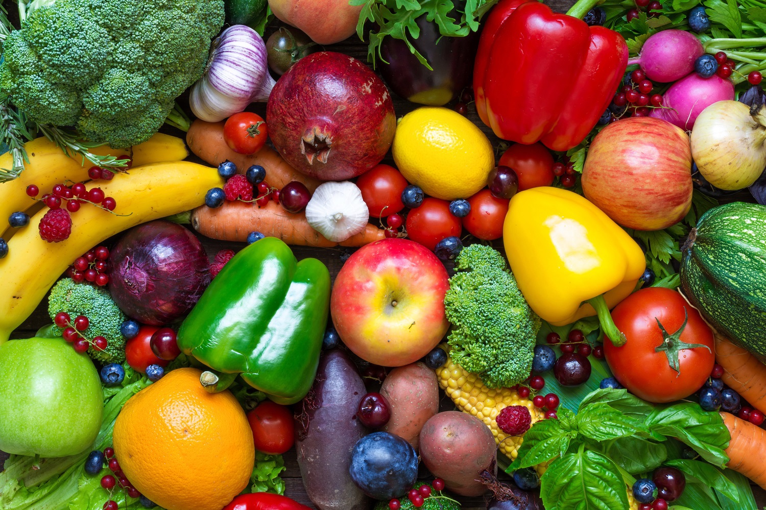 Nutrition primary image