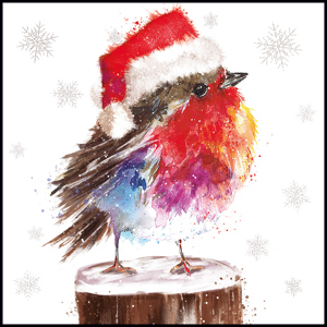 Snowy Robin