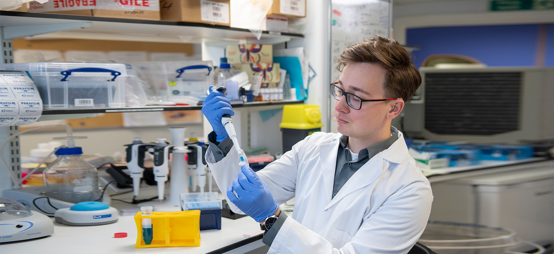 Beat Macular Disease for future generations primary image