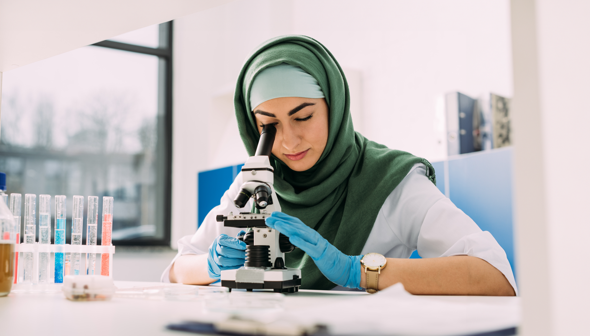 Our research programme: investing in the future primary image
