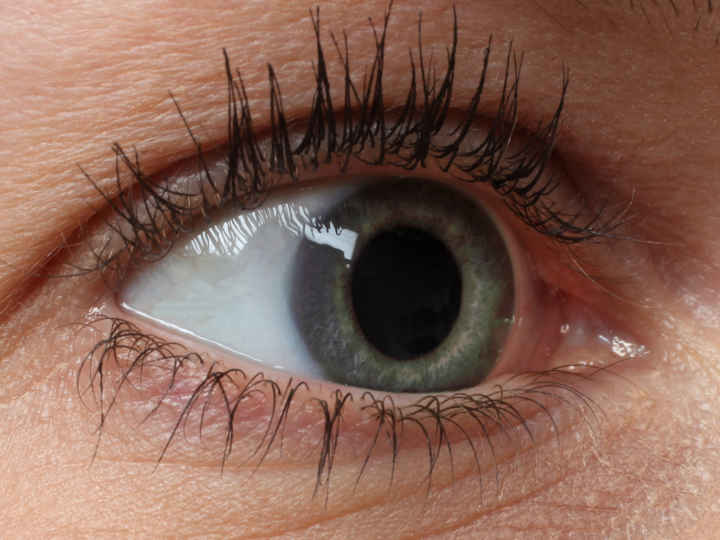 Close up grey eye