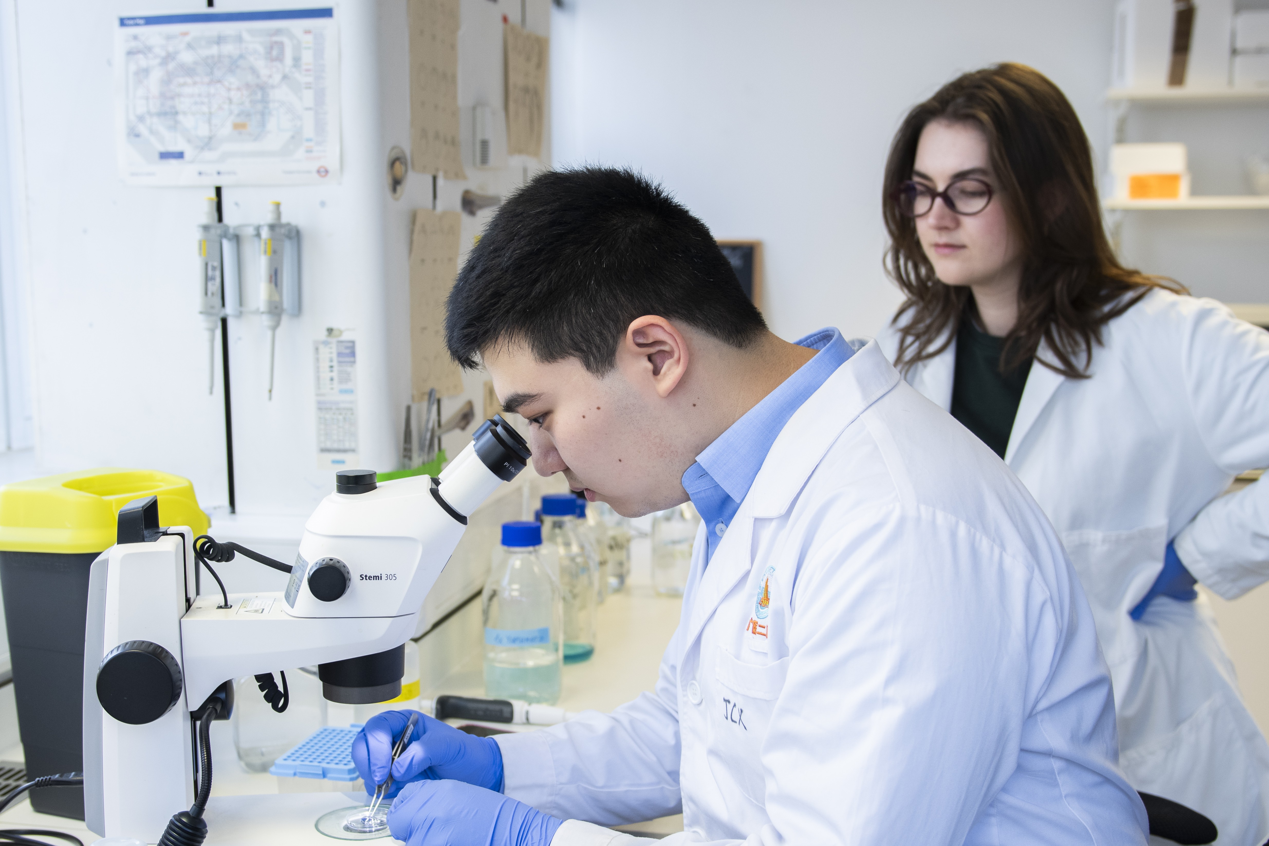 Professor Chu in the research lab working with a microscope