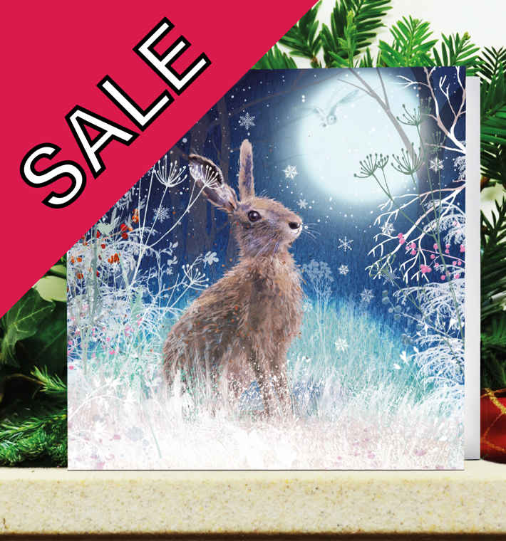 Moonlight Hare Sale