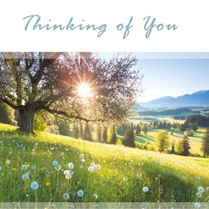 Thinking Of You